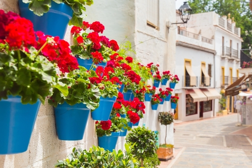 Blue,Flower,Pots,On,The,Walls,Of,Houses,In,Marbella